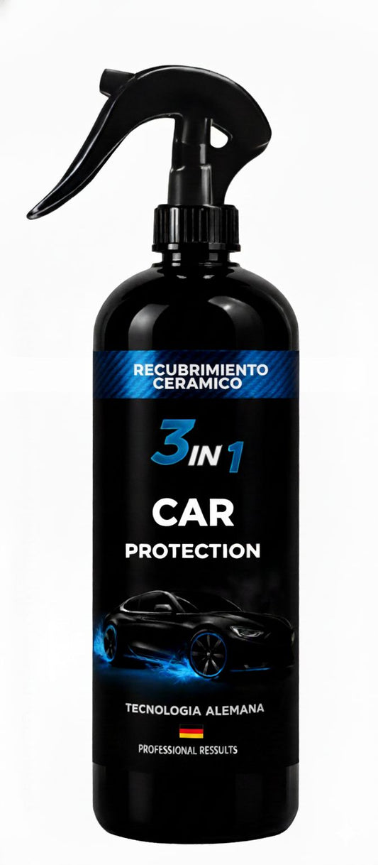 3 EN 1 CAR PROTECT